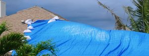 Blue tarp covering damage home's roof